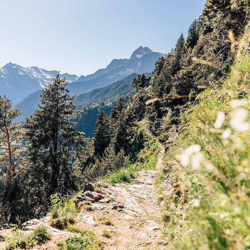Dorf Tirol - Vellau