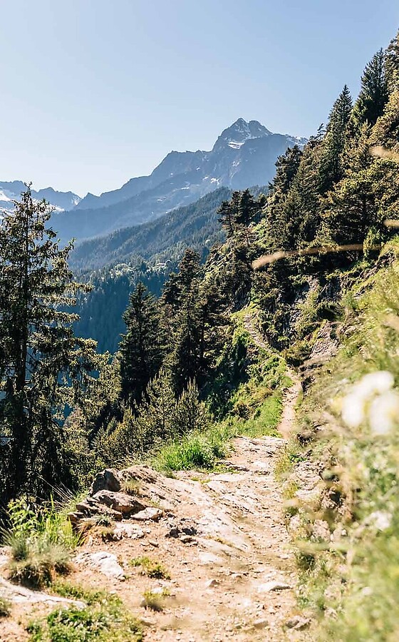 Active pursuits in and around Merano