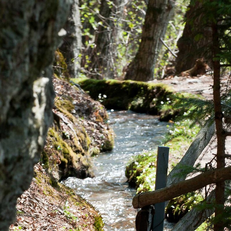 Gilf und Gilfklamm