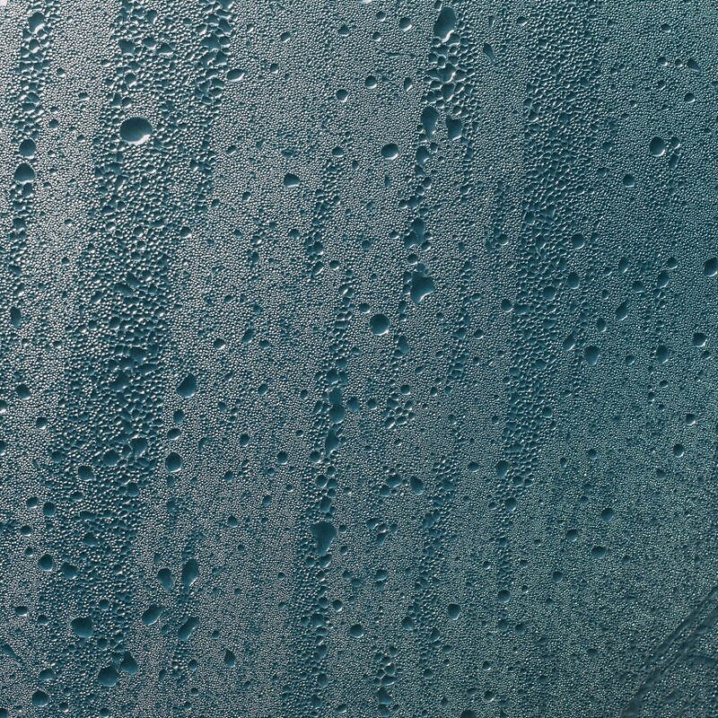 The steam room